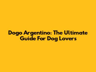 Dogo Argentino: The Ultimate Guide For Dog Lovers