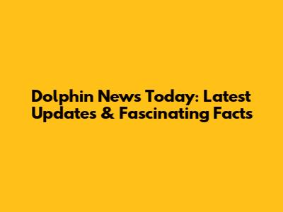Dolphin News Today: Latest Updates & Fascinating Facts