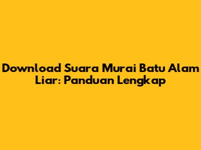 Download Suara Murai Batu Alam Liar: Panduan Lengkap
