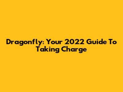 Dragonfly: Your 2022 Guide To Taking Charge
