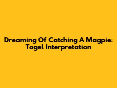 Dreaming Of Catching A Magpie: Togel Interpretation