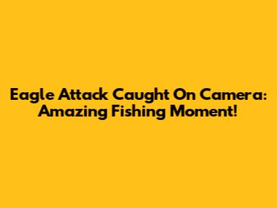 Eagle Attack Caught On Camera: Amazing Fishing Moment!