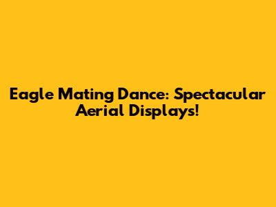 Eagle Mating Dance: Spectacular Aerial Displays!