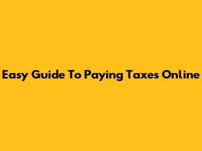 Easy Guide To Paying Taxes Online