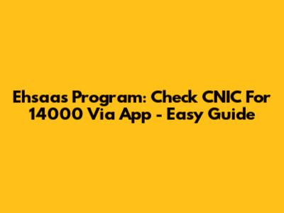 Ehsaas Program: Check CNIC For 14000 Via App - Easy Guide
