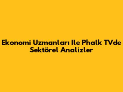 Ekonomi Uzmanları Ile Phalk TV'de Sektörel Analizler