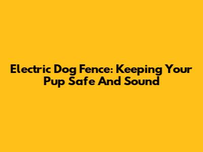 Electric Dog Fence: Keeping Your Pup Safe And Sound