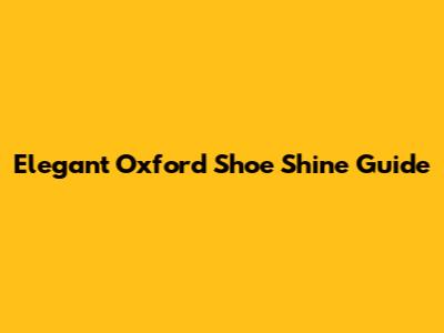 Elegant Oxford Shoe Shine Guide