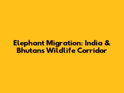 Elephant Migration: India & Bhutan's Wildlife Corridor
