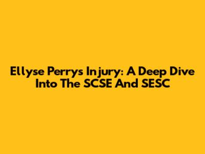 Ellyse Perry's Injury: A Deep Dive Into The SCSE And SESC