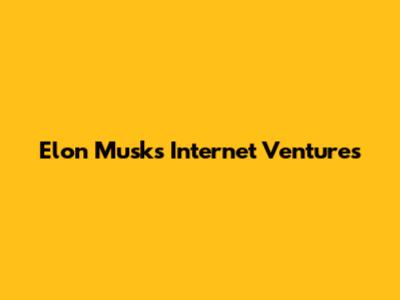 Elon Musk's Internet Ventures