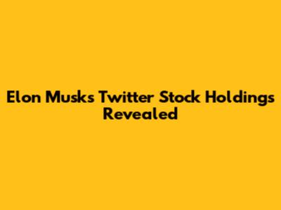 Elon Musk's Twitter Stock Holdings Revealed