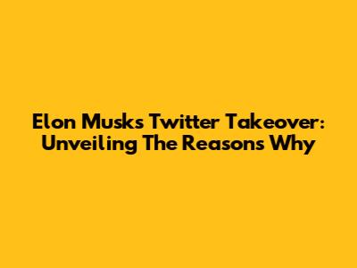 Elon Musk's Twitter Takeover: Unveiling The Reasons Why
