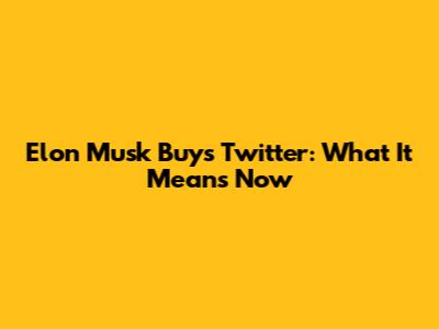 Elon Musk Buys Twitter: What It Means Now