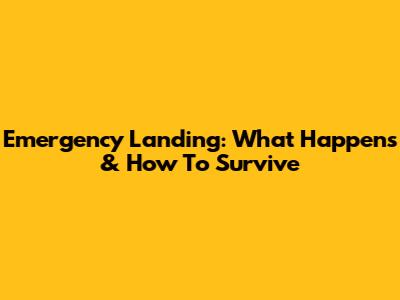 Emergency Landing: What Happens & How To Survive