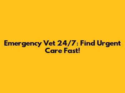 Emergency Vet 24/7: Find Urgent Care Fast!