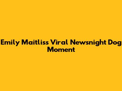 Emily Maitlis's Viral Newsnight Dog Moment