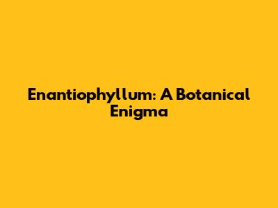 Enantiophyllum: A Botanical Enigma