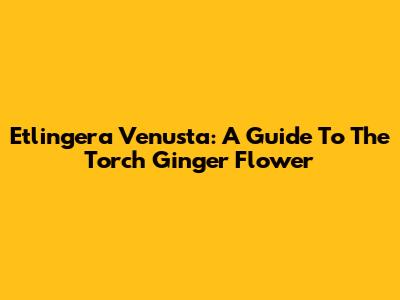 Etlingera Venusta: A Guide To The Torch Ginger Flower
