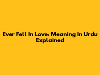 Ever Fell In Love: Meaning In Urdu Explained