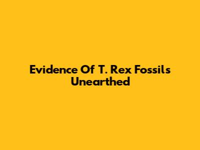 Evidence Of T. Rex Fossils Unearthed