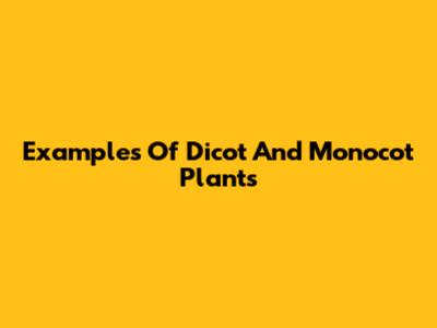 Examples Of Dicot And Monocot Plants