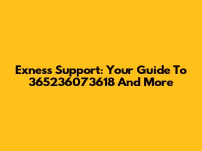 Exness Support: Your Guide To 365236073618 And More