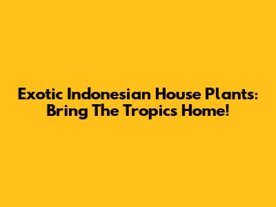 Exotic Indonesian House Plants: Bring The Tropics Home!
