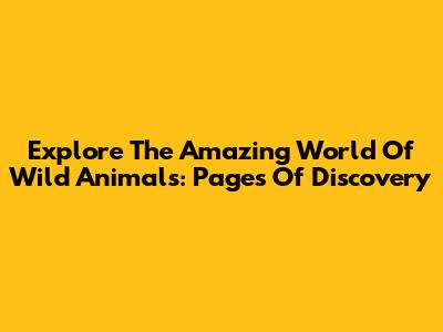 Explore The Amazing World Of Wild Animals: Pages Of Discovery