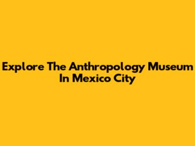 Explore The Anthropology Museum In Mexico City