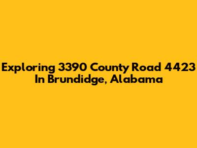 Exploring 3390 County Road 4423 In Brundidge, Alabama