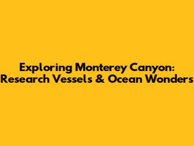 Exploring Monterey Canyon: Research Vessels & Ocean Wonders