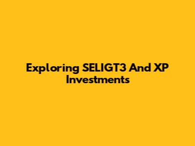 Exploring SELIGT3 And XP Investments