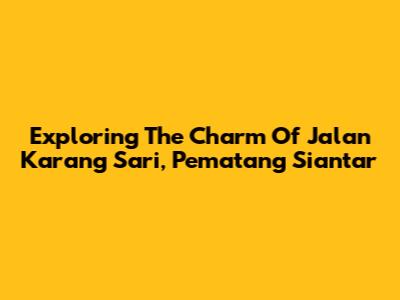 Exploring The Charm Of Jalan Karang Sari, Pematang Siantar