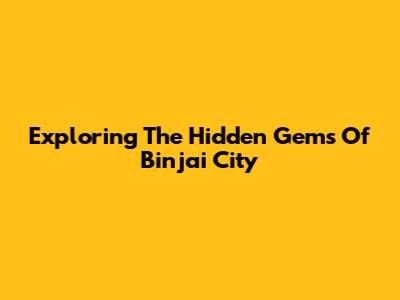 Exploring The Hidden Gems Of Binjai City