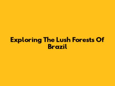 Exploring The Lush Forests Of Brazil