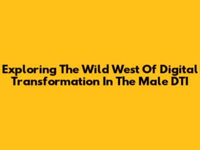 Exploring The Wild West Of Digital Transformation In The Male DTI