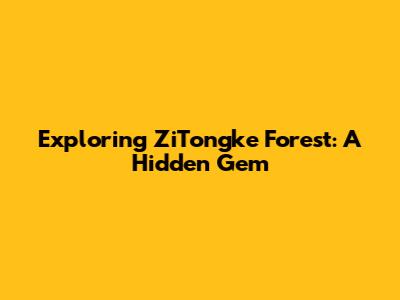 Exploring ZiTongke Forest: A Hidden Gem