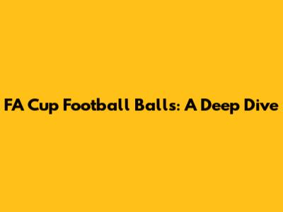 FA Cup Football Balls: A Deep Dive