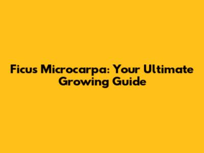 Ficus Microcarpa: Your Ultimate Growing Guide