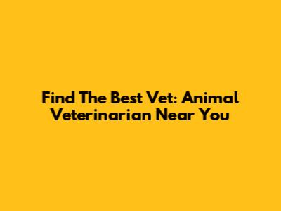 Find The Best Vet: Animal Veterinarian Near You