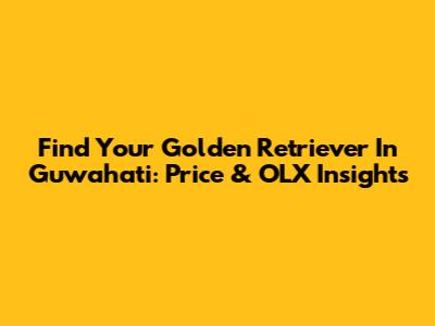 Find Your Golden Retriever In Guwahati: Price & OLX Insights