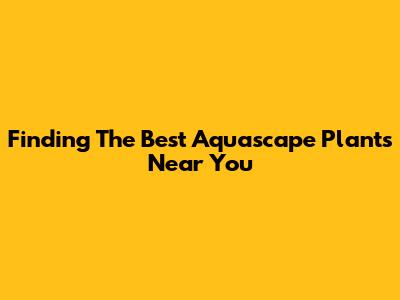 Finding The Best Aquascape Plants Near You