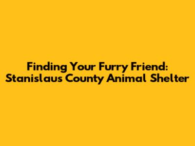 Finding Your Furry Friend: Stanislaus County Animal Shelter