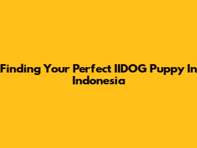 Finding Your Perfect IIDOG Puppy In Indonesia