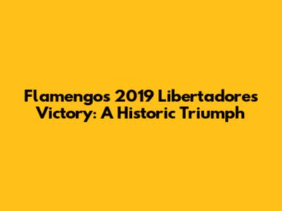 Flamengo's 2019 Libertadores Victory: A Historic Triumph