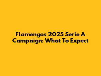 Flamengo's 2025 Serie A Campaign: What To Expect