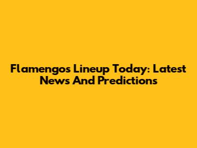 Flamengo's Lineup Today: Latest News And Predictions