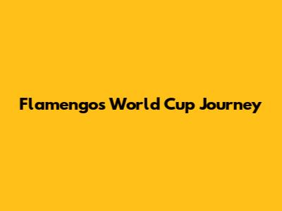 Flamengo's World Cup Journey