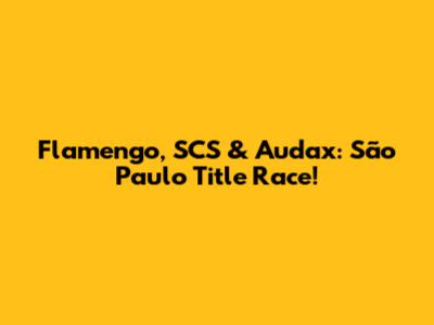 Flamengo, SCS & Audax: São Paulo Title Race!